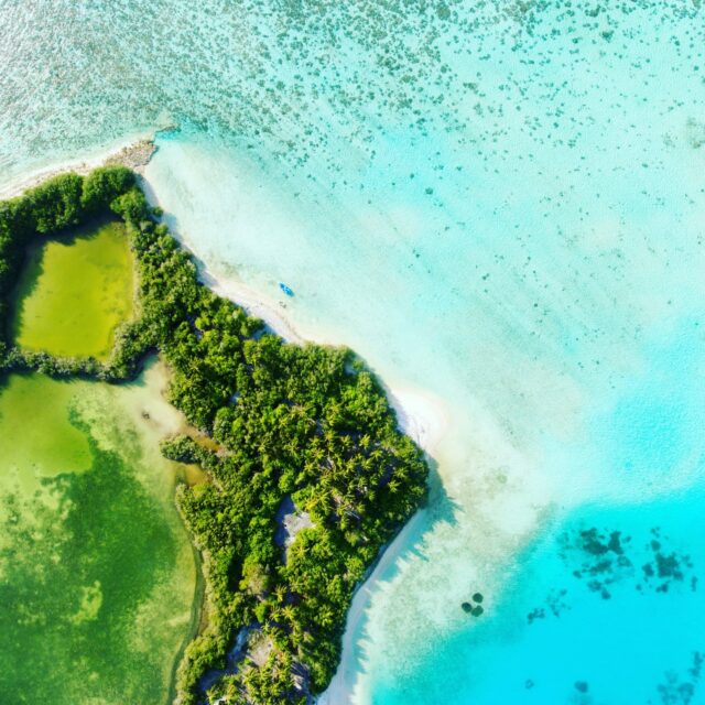 https://dev-email-smpt.pantheonsite.io/?ff_landing=1489