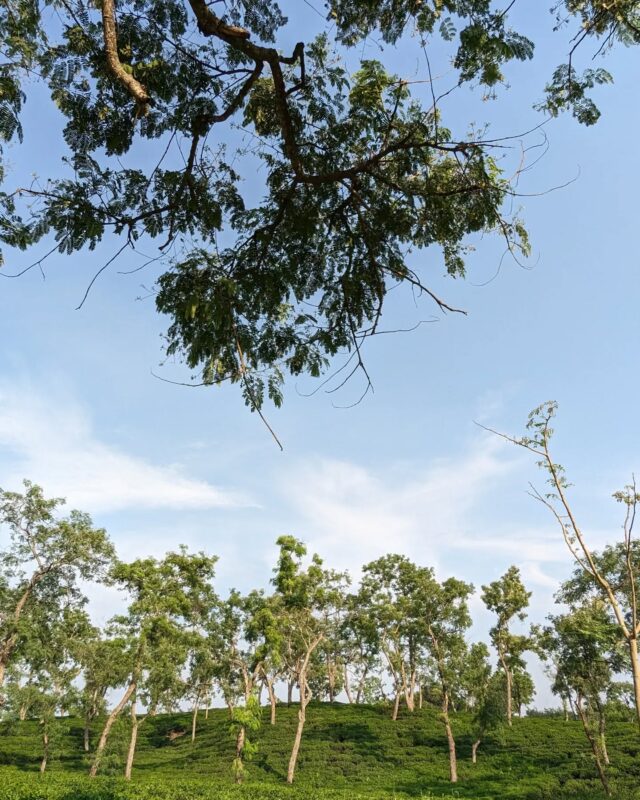 Lorem Ipsum is simply dummy text of the printing and typesetting industry.

Lorem Ipsum has been the industry's standard dummy text ever since the 1500s

It has survived not only five centuries, but also the leap into electronic typesetting, remaining essentially unchanged. It was popularised in the 1960s with the release
#pluggitlüftungsanlage
#natures #heizungundsanitär