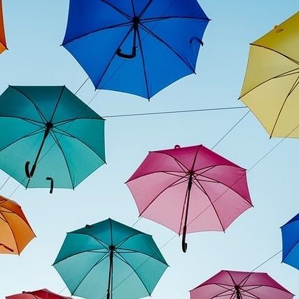 Random click 🔥❤️

#photography #instagramphotography #umbrella #beautyofnature