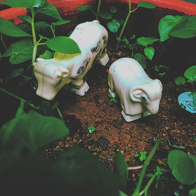 “Everything is so beautiful and so short.” -Marina Keegan

#photography #photooftheday  #instagood 
#traveling #travelphotography #travelgram #travelblogger #travel #instatravel #traveling #traveller #traveler #travels #travelblog #wanderlust #ig #trip #travelingram #traveladdict #photography #traveltheworld #photooftheday #travellife #travelphoto #travelpics #instagood #beautifuldestinations #travelholic #nature #travelers #travellers #igtravel #travelpics